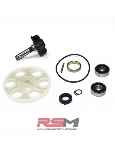 KIT REPARACION BOMBA AGUA MINARELLI HORIZONTAL TOP