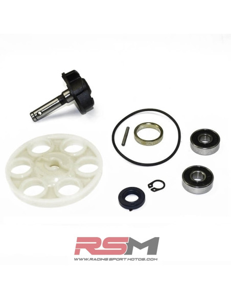KIT REPARACION BOMBA AGUA MINARELLI HORIZONTAL TOP