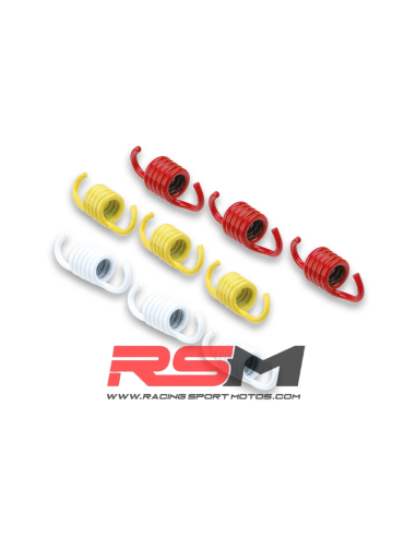MUELLES EMBRAGUE MALOSSI"Sport", Honda SH125/150..