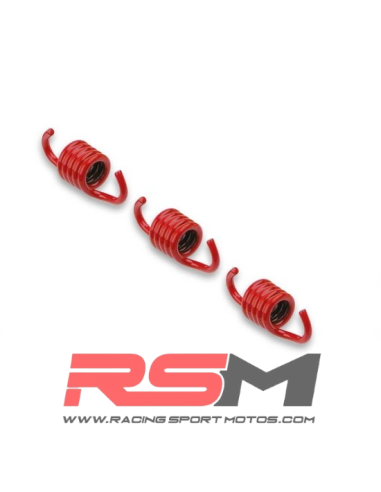 MUELLES PARA EMBRAGUE ORIGINAL MALOSSI, APRILIA SRV 800, GILERA GP800