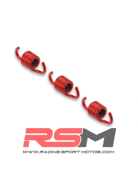 MUELLES PARA EMBRAGUE ORIGINAL MALOSSI, APRILIA SRV 800, GILERA GP800