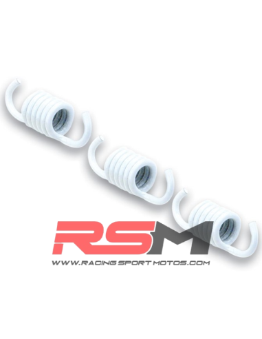 MUELLES PARA EMBRAGUE ORIGINAL MALOSSI, APRILIA SRV 800, GILERA GP800