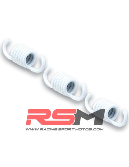 MUELLES PARA EMBRAGUE ORIGINAL MALOSSI, APRILIA SRV 800, GILERA GP800