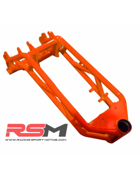 CHASIS MIR RACING GP10"