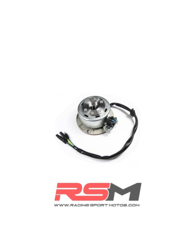 ENCENDIDO COMPLETO MOTOR YX
