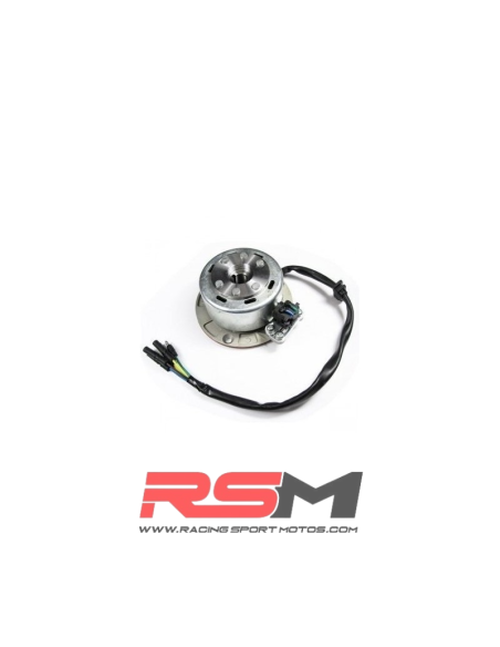 ENCENDIDO COMPLETO MOTOR YX