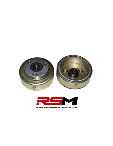 PLATO MAGNETICO MOTOR ZS 190CC
