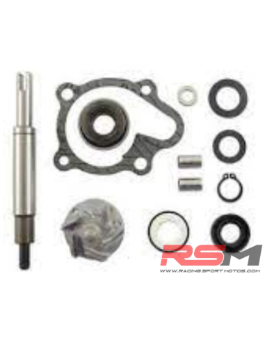 KIT REPARACION BOMBA AGUA DERBI/PIAGGIO