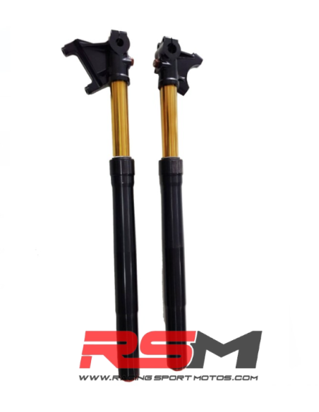 HORQUILLAS RADIAL REGULABLES 660mm MIR RACING
