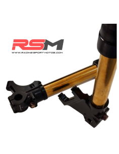 HORQUILLAS RADIAL REGULABLES 730mm MIR RACING 2