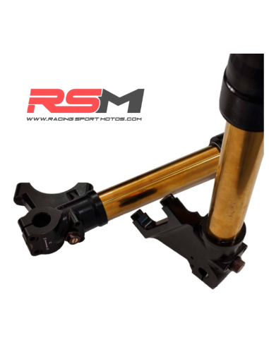 HORQUILLAS RADIAL REGULABLES 730mm MIR RACING