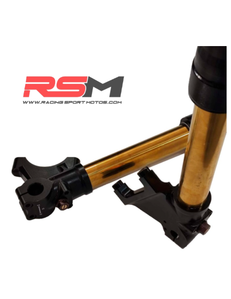 HORQUILLAS RADIAL REGULABLES 730mm MIR RACING