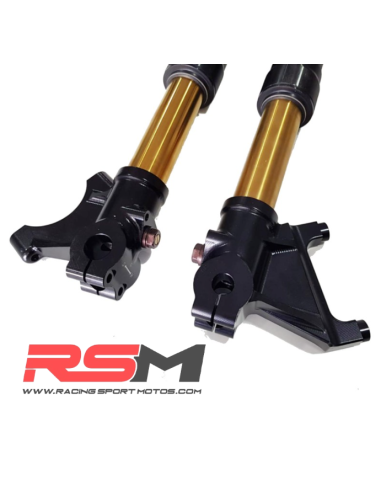 HORQUILLAS RADIAL REGULABLES 730mm MIR RACING