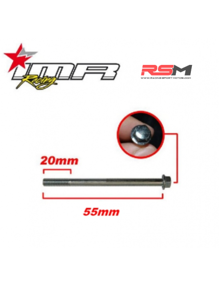 TORNILLO M6 X 55MM