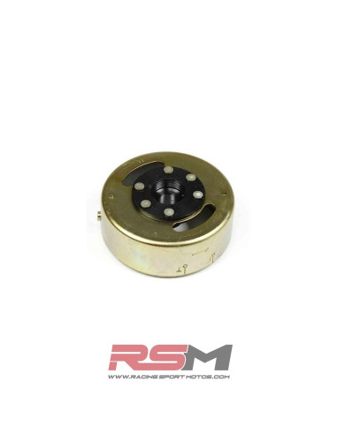 PLATO MAGNETICO MOTORES 110 CC / 125 CC