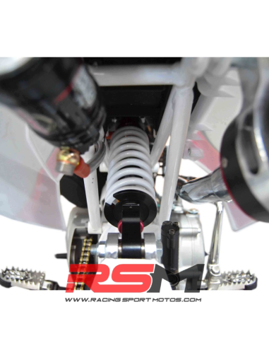PITBIKE IMR CORSE 155 RR GAMA EVOLUTION 2K24