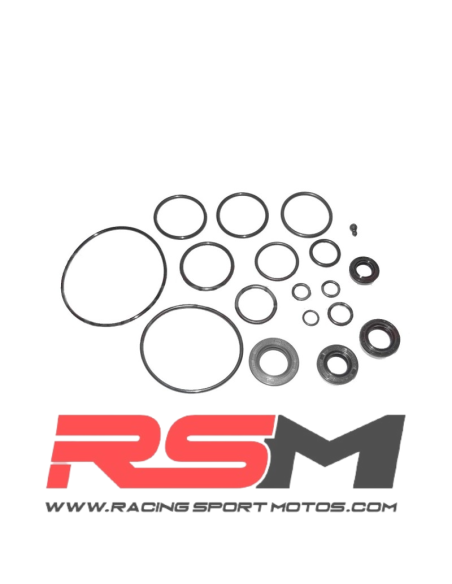 JUEGO RETENES Y TORICAS MOTOR 110Z