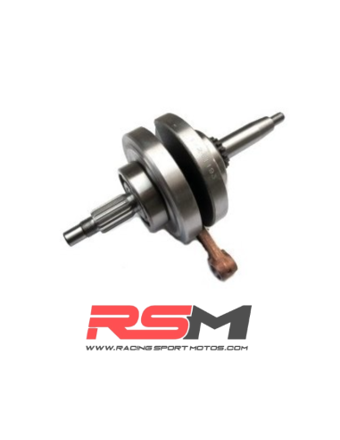 CIGÜEÑAL MOTOR ZS 110