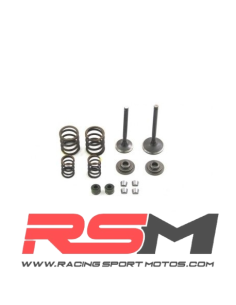 KIT COMPLETO REPARACIÓN VÁLVULAS