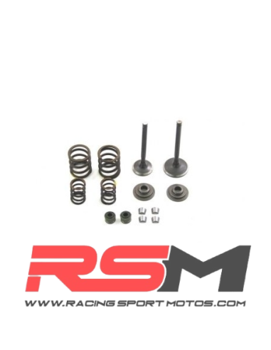 KIT COMPLETO REPARACIÓN VÁLVULAS