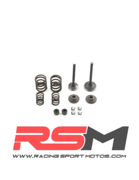 KIT COMPLETO REPARACIÓN VÁLVULAS