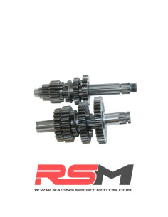 CAJA DE CAMBIOS MOTOR ZS 140