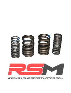 KIT MUELLES VALVULA DUROS 190Z J2L