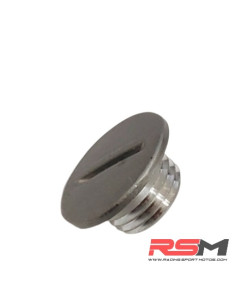 TORNILLO SUPERIOR TAPA ENCENDIDO 190Z (5)