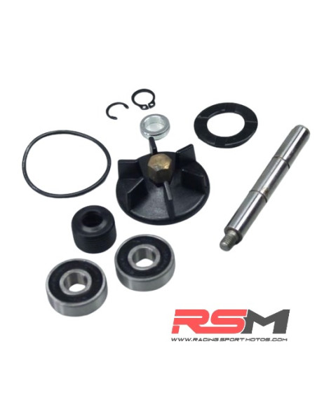 KIT REPARACION BOMBA AGUA PIAGGIO 50CC