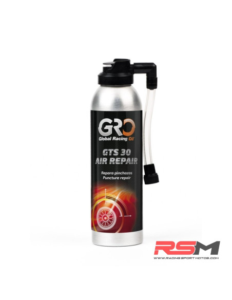 GTS 30 AIR REPAIR SPRAY GRO