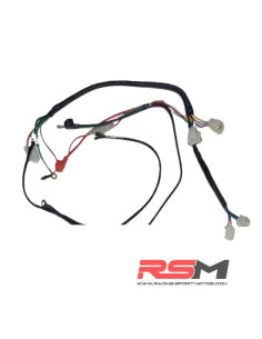 INSTALACION MOTOR ZS 190 ENCENDIDO ORIGEN