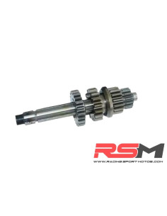 CAJA DE CAMBIOS MOTOR ZS 155/160 2