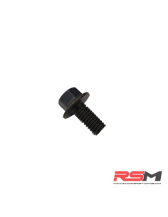 TORNILLO M6X12mm PROTECTOR CADENA QUAD ATV 110 IMR