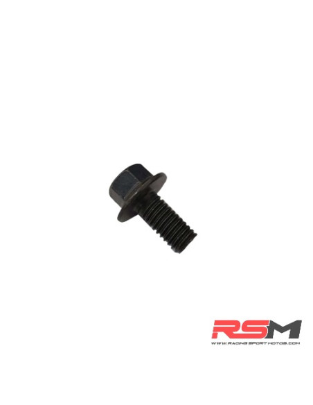 TORNILLO M6X12mm PROTECTOR CADENA QUAD ATV 110 IMR