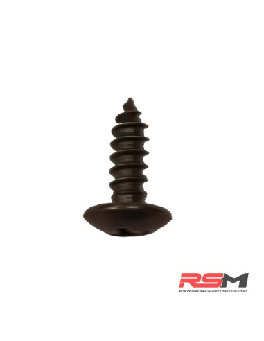 TORNILLO PEQUEÑO SUJECCION CARENADO QUAD 110/200 T3B IMR