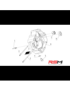 TORNILLO MUELLE RETROCESO CARTER DERECHO 190Z (1) 2