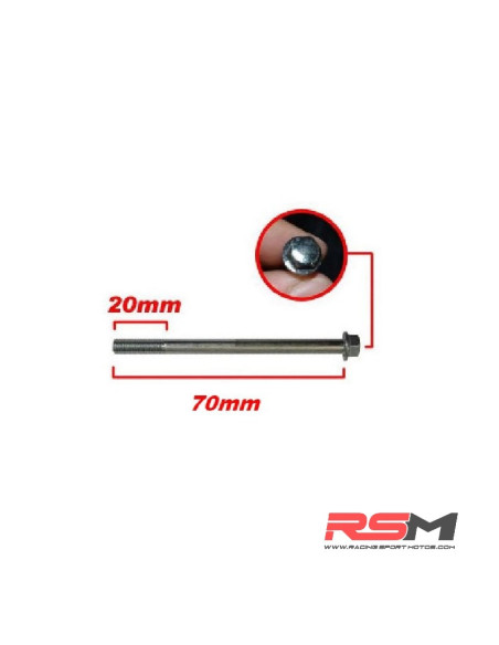 TORNILLO M6X80mm 190Z