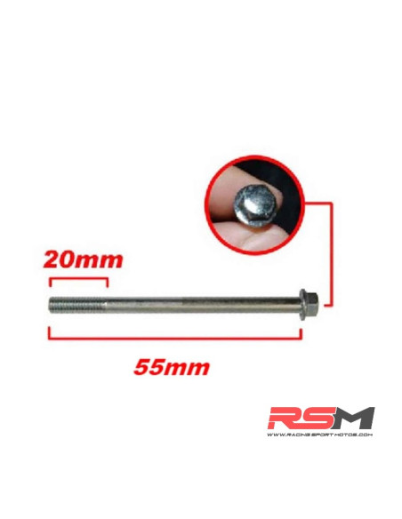 TORNILLO M6X55mm 190Z
