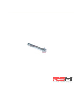 TORNILLO M6X65mm (190Z/250)