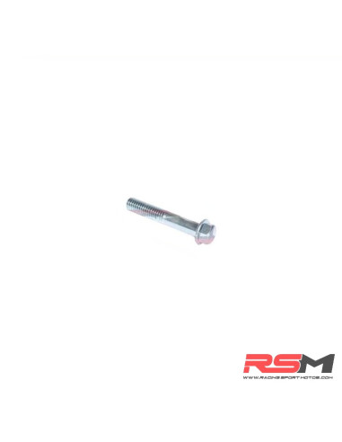 TORNILLO M6X65mm (190Z/250)