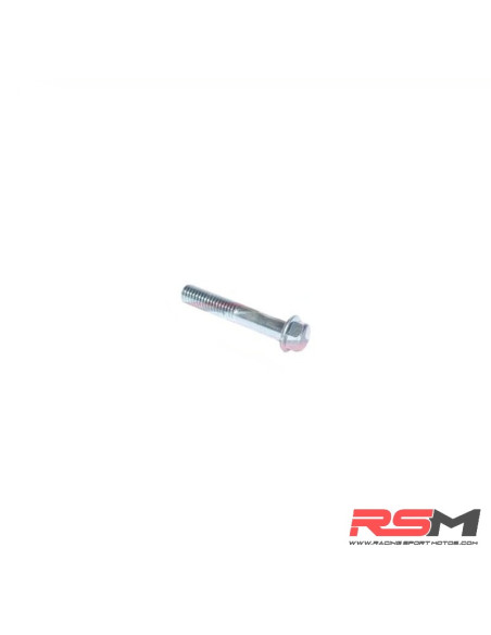 TORNILLO M6X65mm (190Z/250)
