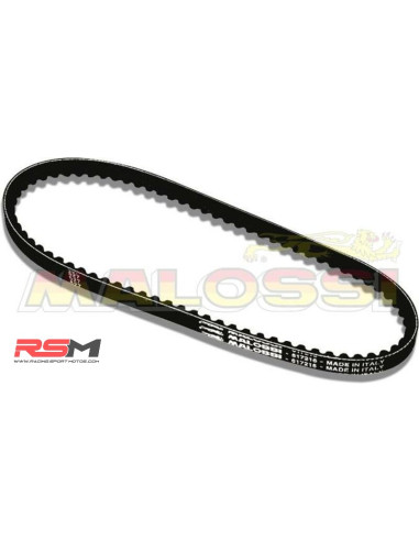 CORREA X-SPECIAL MALOSSI YAMAHA JOG / AEROX