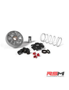 VARIADOR MULTIVAR MALOSSI MINARELLI JOG/AEROX