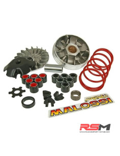 copy of VARIADOR MULTIVAR MALOSSI MINARELLI JOG/AEROX