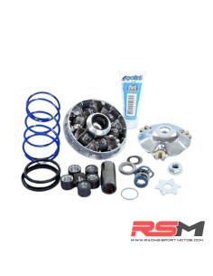 copy of VARIADOR MULTIVAR MALOSSI MINARELLI JOG/AEROX