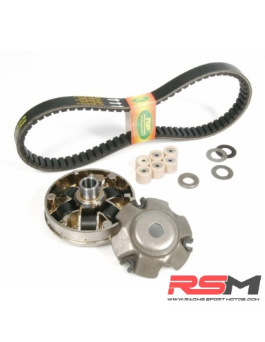 VARIADOR TOP PERFORMANCE TPR 2 MINARELLI HORIZONTAL