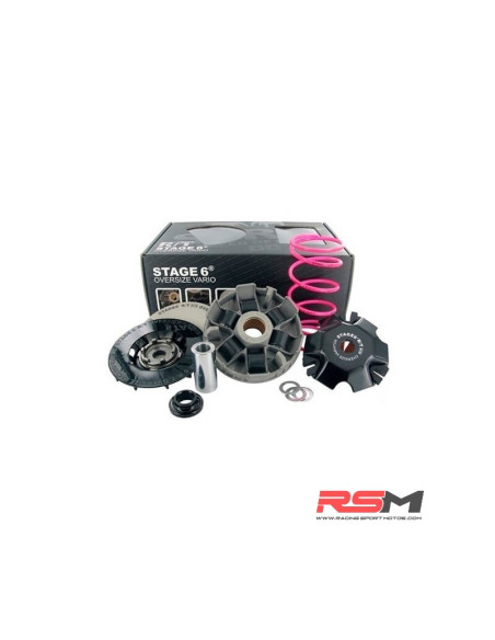 VARIADOR STAGE6 R/T OVERSIZE MINARELLI HORIZONTAL
