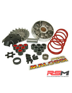 copy of VARIADOR MULTIVAR MALOSSI MINARELLI JOG/AEROX