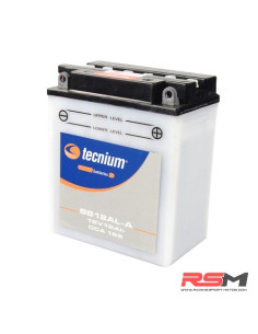 copy of BATERIA BTX12-BS