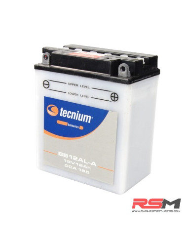 copy of BATERIA BTX12-BS